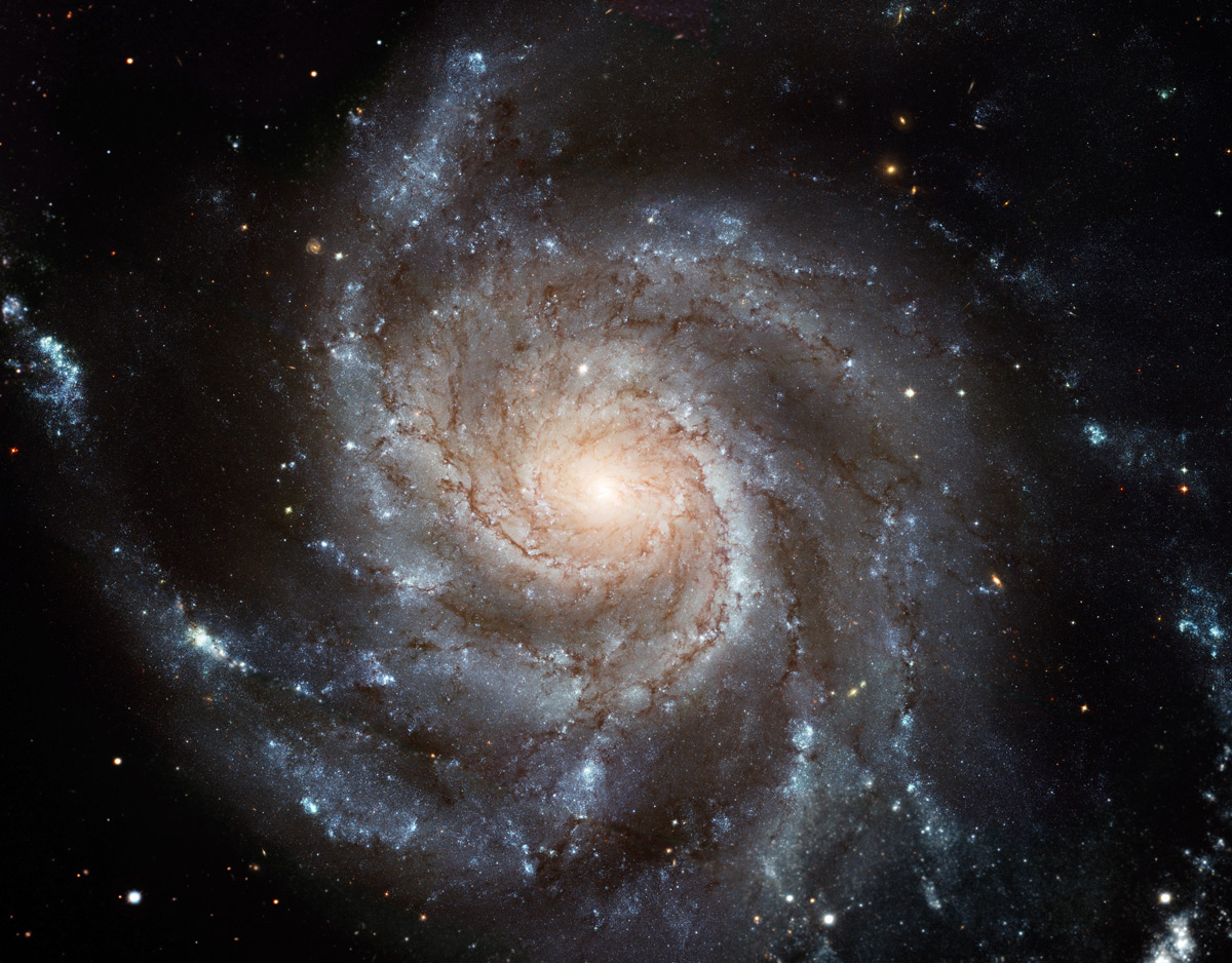 spiral irregular galaxies