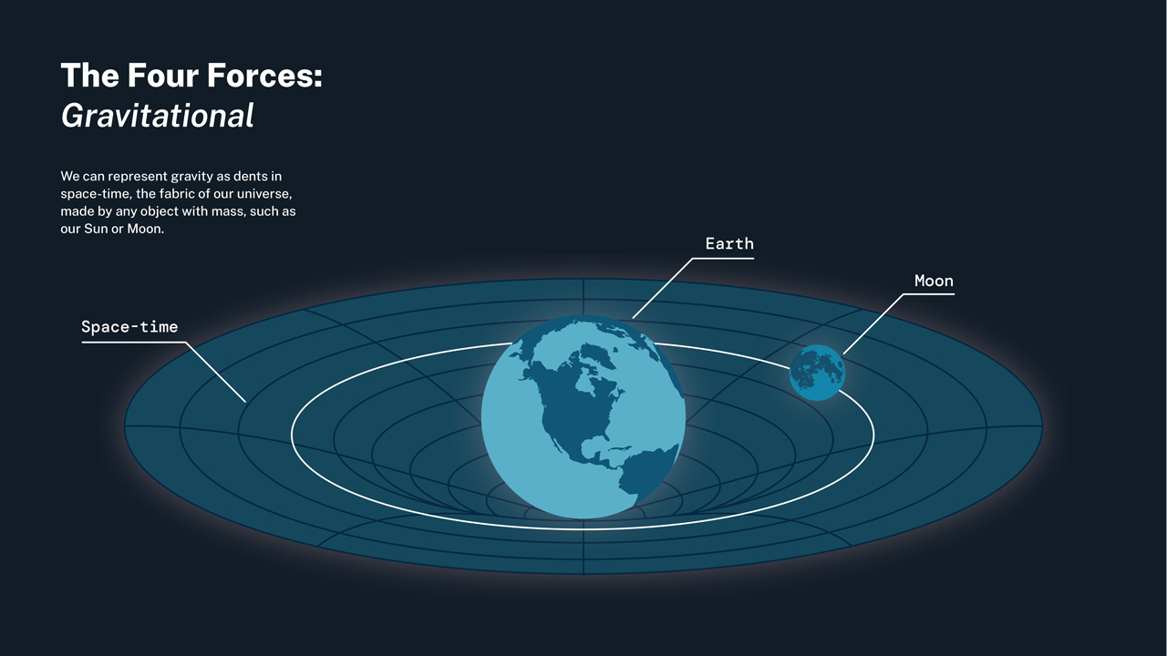 Basic Objects in the Universe