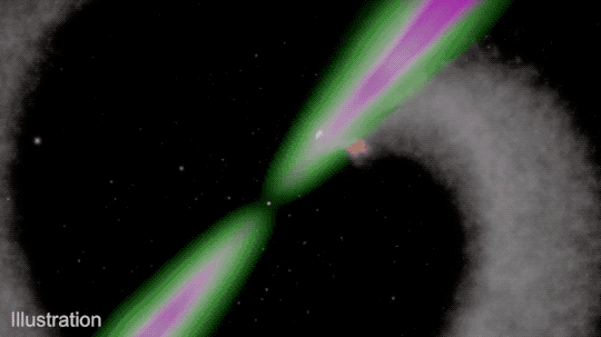A pulsar spins in the middle of this animation with a companion star orbiting around it. The pulsar is represented by a small white dot with two cones of radiation emanating from either side. The cones have a white interior with green outlines closer to the pulsar changing to purple further away. As the animation proceeds, the cones spin around the central pulsar. A sphere representing the pulsar’s companion orbits around the pulsar, and as it does, a continuous cloud of material blows behind it, expanding outward to create a diffuse spiral. The image is watermarked: “Illustration.” 