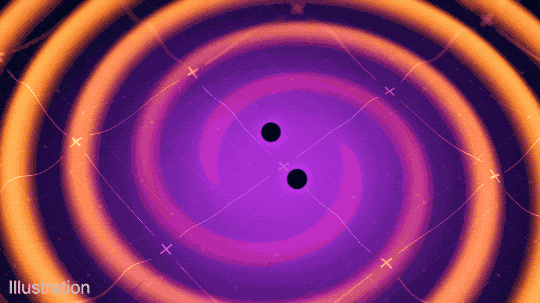 Two black dots circle each other at the center of this animation. Gravitational waves are represented stylistically by spirals that begin as purple, trialing right behind each black hole and then swirling around as they expand off the edge of the screen. The black holes get closer and closer, while the spirals get denser and more frequent until the two black holes merge. As soon as they merge, the new spirals stop, while the existing ones expand away from the single black dot at the center. In the end there is just a single black hole on a black background with a grid, representing space-time. 