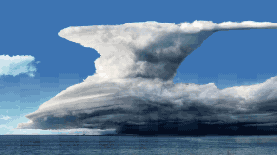 This animated GIF shows charge accumulating in a cloud. The cloud looms over a landscape. The bottom part of the cloud stretches nearly all the way across the image. On the left edge of the cloud, a thin portion juts upward and spreads out, looking almost like the neck of a bird with a stumpy beak on one side and a long plume on the other. During the animation, blue dots appear in the bottom part of the cloud, representing negative charges. Red dots appear in the upper part, representing positive charges.