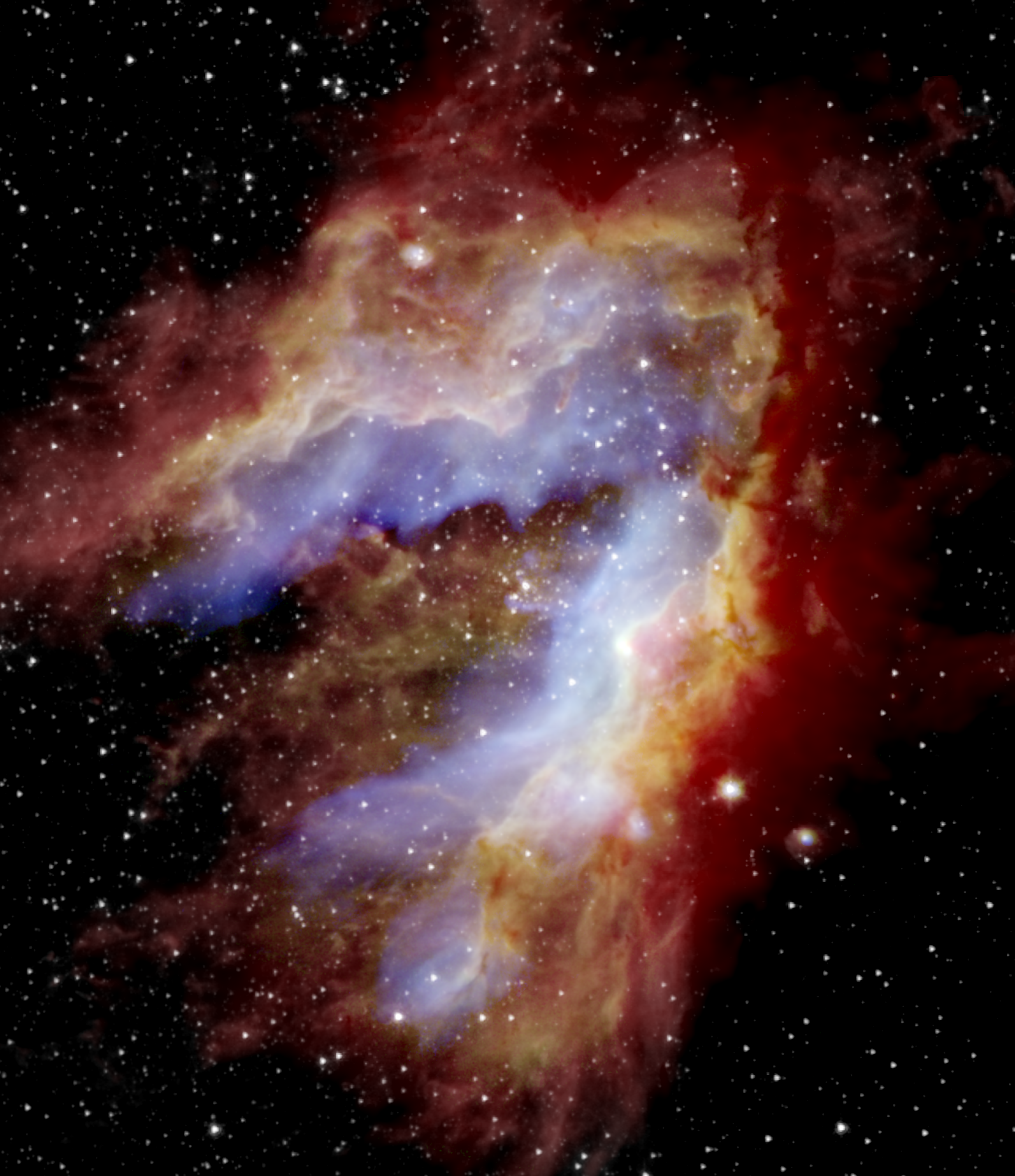 Against a starry background sits a nebula that resembles the neck and head of a swan who is looking to the left. The cloudy nebula is a dark red on the edges that would be the right side of the swan’s neck and top of its head. This fades into a pale yellow on the left side of the swan’s neck and the bottom of the head and beak. Inside the crook of the neck there is a semi-transparent blue cloud. All of this is on a black, starry background.