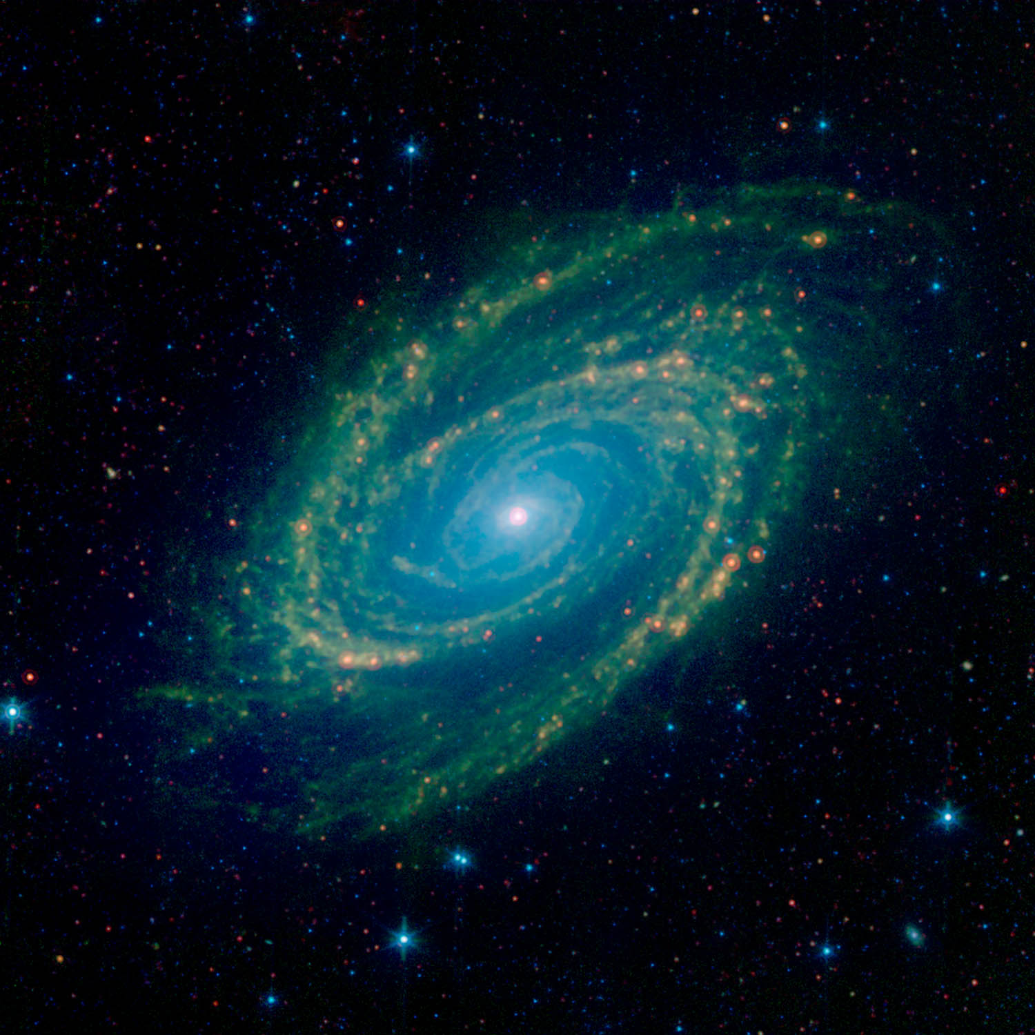 M81 is a grand spiral galaxy, and in this image its arms appear as green vines twisting inward toward a central bright spot. Embedded in those arms are spots of yellow and orange light. All of this is on a background dotted with red and blue pinpricks of light.
